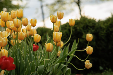 Similar image 21447791