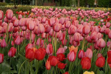 Similar image 21449419