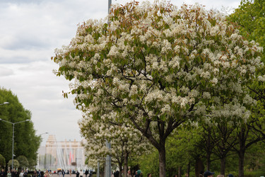 Similar image 21446857