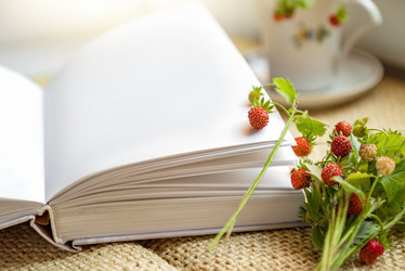 Similar image 21447249