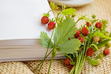 Similar image 21447250