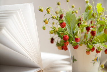 Similar image 21447795