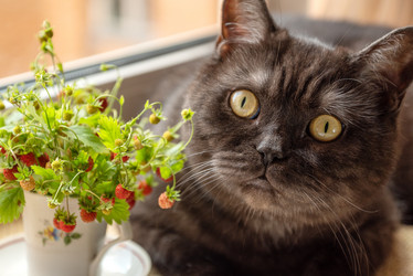 Similar image 21447797