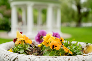 Similar image 21447257