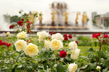 Similar image 21447799