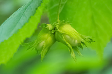 Similar image 21447259