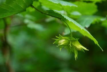 Similar image 21447800