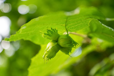 Similar image 21449595