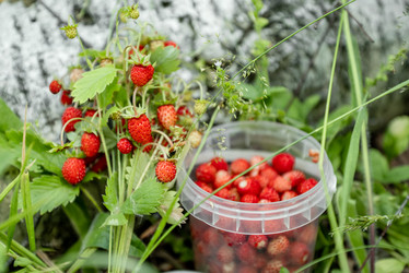 Similar image 21447802