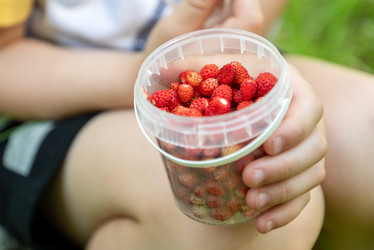 Similar image 21447260