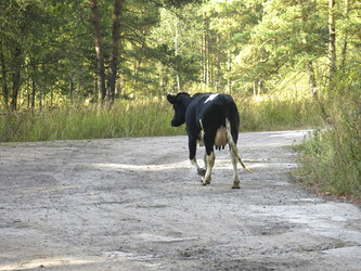 Similar image 21447262