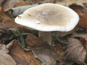 Similar image 21447263