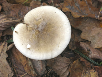 Similar image 21447265