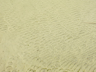 Similar image 21447267