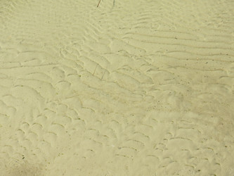 Similar image 21447268