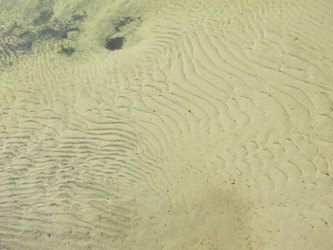 Similar image 21447269