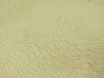 Similar image 21447270