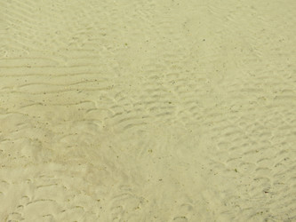 Similar image 21447271