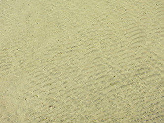 Similar image 21447272