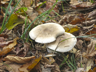 Similar image 21447273