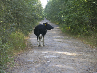 Similar image 21447274