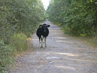 Similar image 21447275