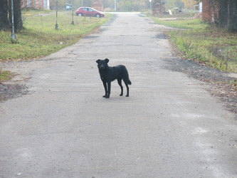 Similar image 21447283