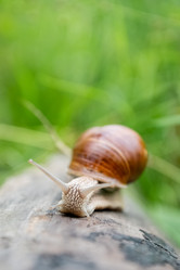 Similar image 21447810