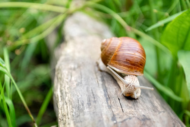 Similar image 21447310