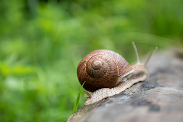 Similar image 21447811