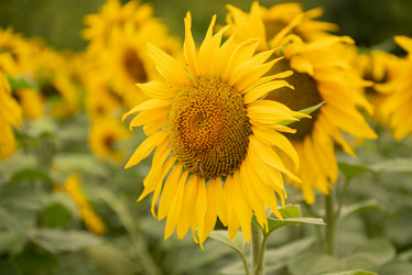 Similar image 21447313