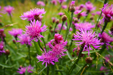 Similar image 21450325