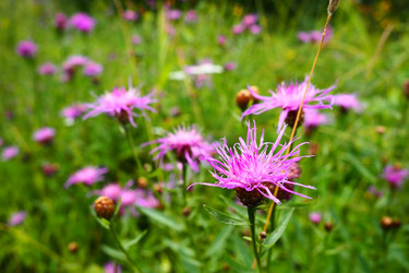 Similar image 21450326