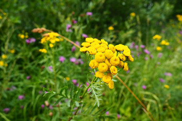 Similar image 21452044