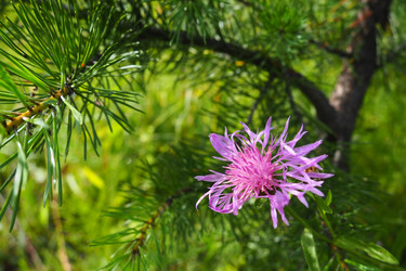 Similar image 21452047