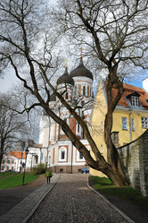 Similar image 21467162