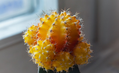 Similar image 21456884