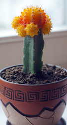 Similar image 21456886