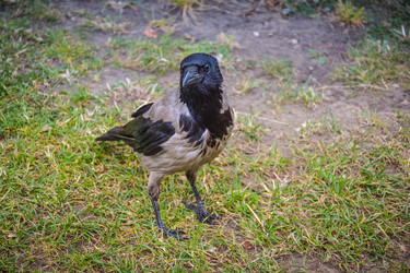 Similar image 21456891