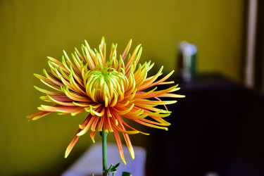 Similar image 21456906