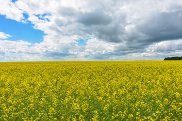 Similar image 21456908