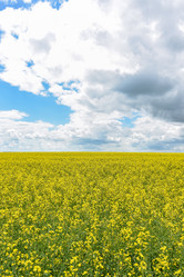 Similar image 21456911