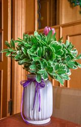 Similar image 21456912