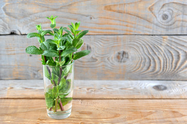 Similar image 21449471