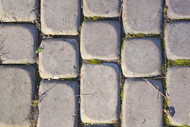 Similar image 21454517