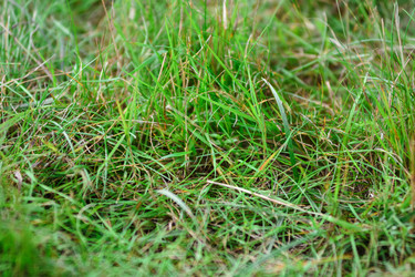 Similar image 21454716