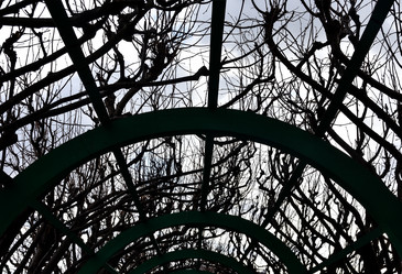 Similar image 21454719