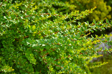 Similar image 21454720