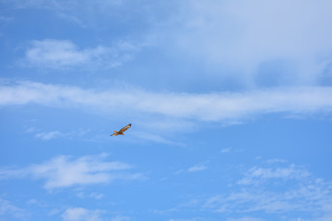 Similar image 21454722