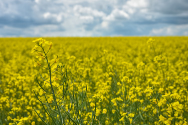 Similar image 21454740